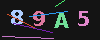 Gambar captcha